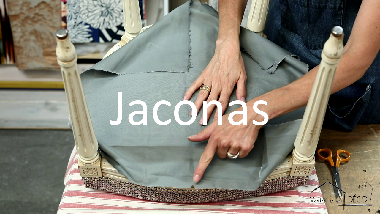17/ Jaconas